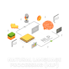 Natural Language Processing (NLP)