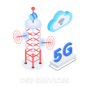 OSP Services